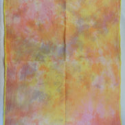 A31 Hand Dyed. 14ct Aida  (19x30