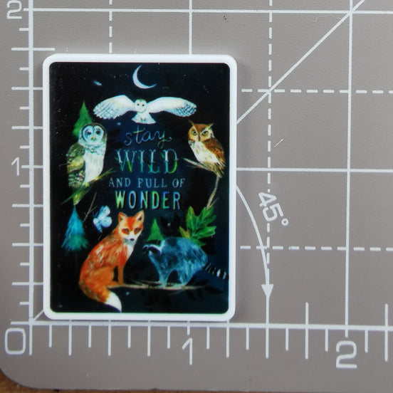 Needle Minder - Night Forest. Wild & Full of Wonder.