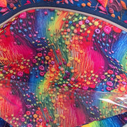 WIP Project Bag - Rainbow Bird