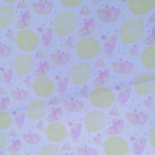 Aida / Evenweave - When Life Gives You Lemons - (printed)