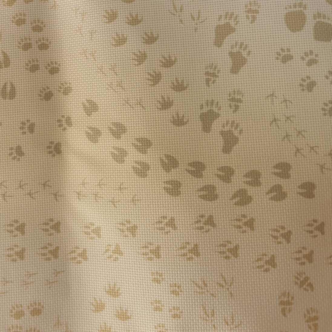 Aida / Evenweave - Woodland Trail (printed)