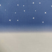 Aida / Evenweave - Snowy Night- (printed)