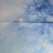 Aida / Evenweave - Stargazer - (printed)