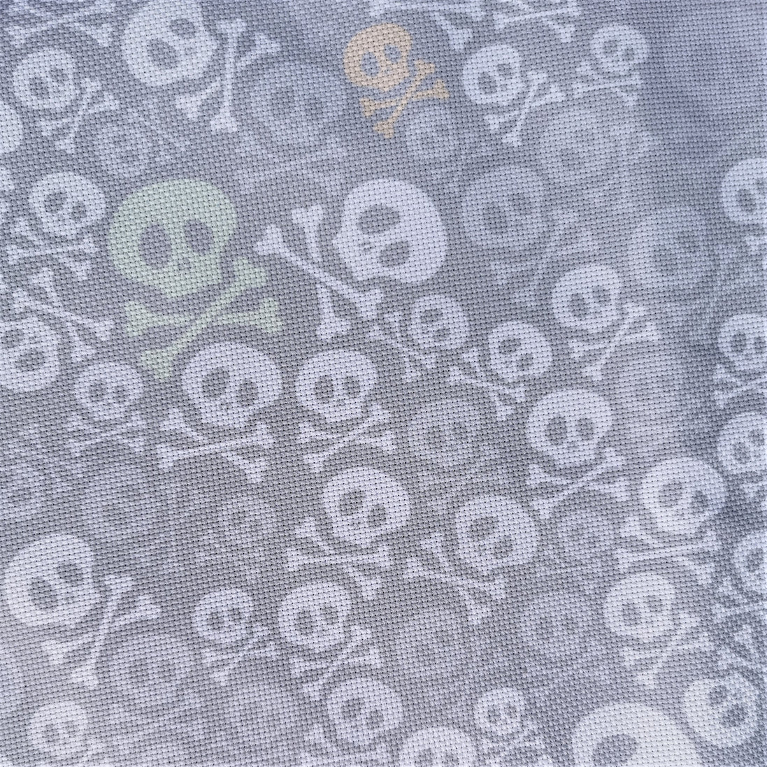 Aida / Evenweave - Skully (printed)