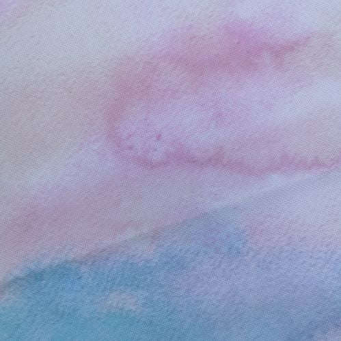 Aida / Evenweave - Dreaming in Colour - (printed)
