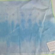 Blues (test piece 2)  Hand Dyed. 14ct Aida.