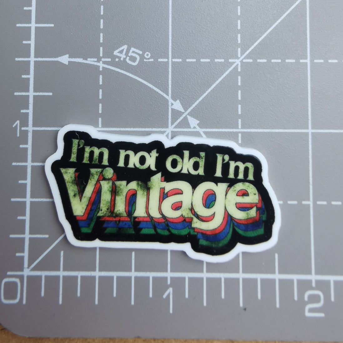 Needle Minder - VINTAGE! (not old)
