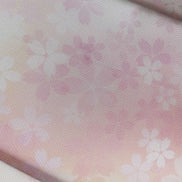 Aida / Evenweave - Sakura Sunrise - (printed)