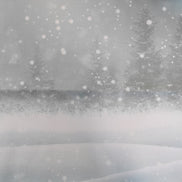Aida / Evenweave - SPARKLE Frosty Forest (printed)