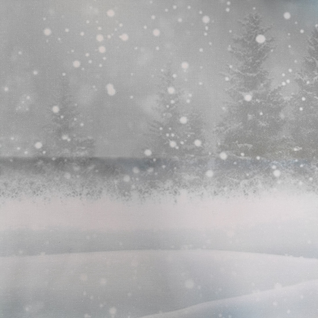 Aida / Evenweave - SPARKLE Frosty Forest (printed)