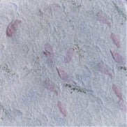 Aida / Evenweave - Petal Parchment (printed)