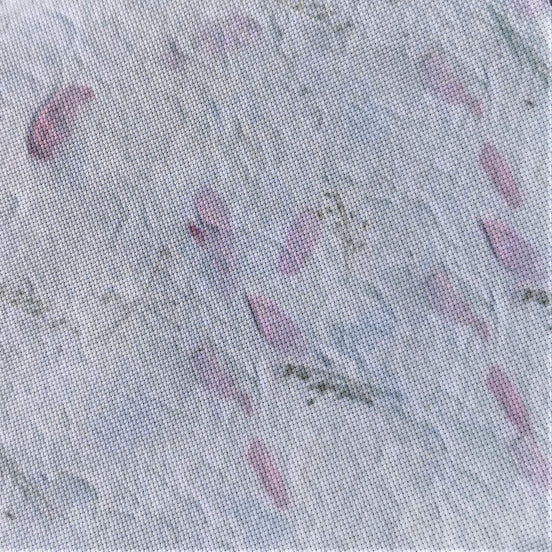 Aida / Evenweave - Petal Parchment (printed)