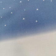 Aida / Evenweave - Snowy Night- (printed)