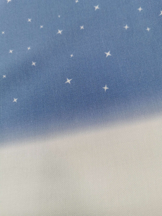 Aida / Evenweave - Snowy Night- (printed)