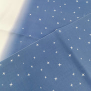 Aida / Evenweave - Snowy Night- (printed)