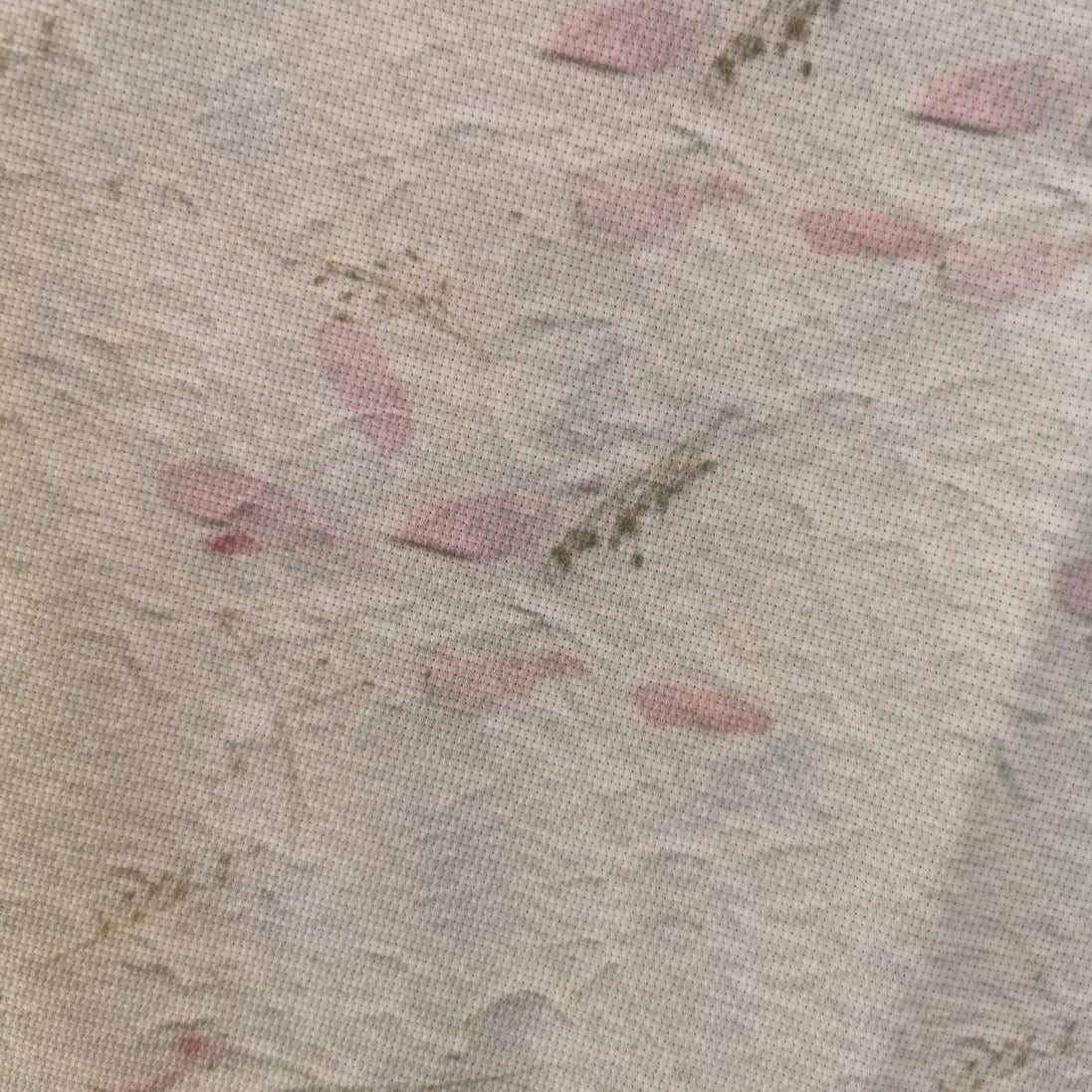 Aida / Evenweave - Petal Parchment (printed)