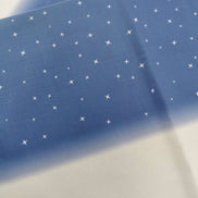 Aida / Evenweave - Snowy Night- (printed)