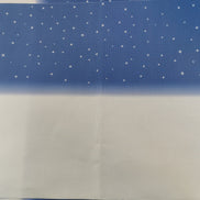 Aida / Evenweave - Snowy Night- (printed)