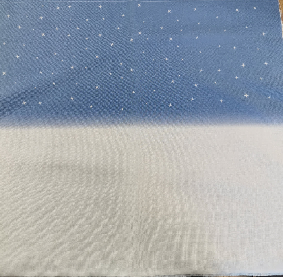 Aida / Evenweave - Snowy Night- (printed)