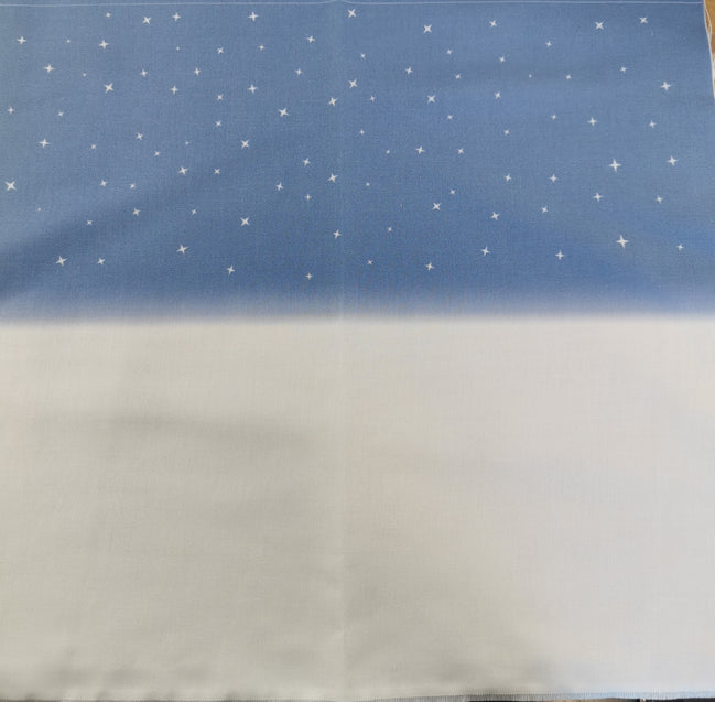 Aida / Evenweave - Snowy Night- (printed)