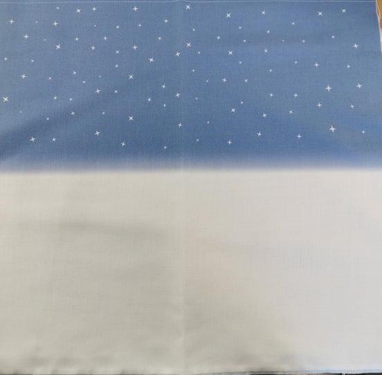 Aida / Evenweave - Snowy Night- (printed)