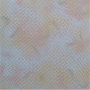 Aida / Evenweave - Autumn Vibes - (printed)