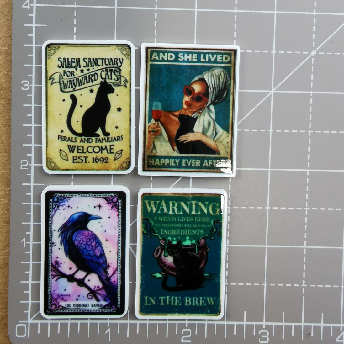 Needle Minder - Salem Sanctuary, Raven, Cats & Wine, Witches Brew