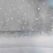 Aida / Evenweave - SPARKLE Frosty Forest (printed)