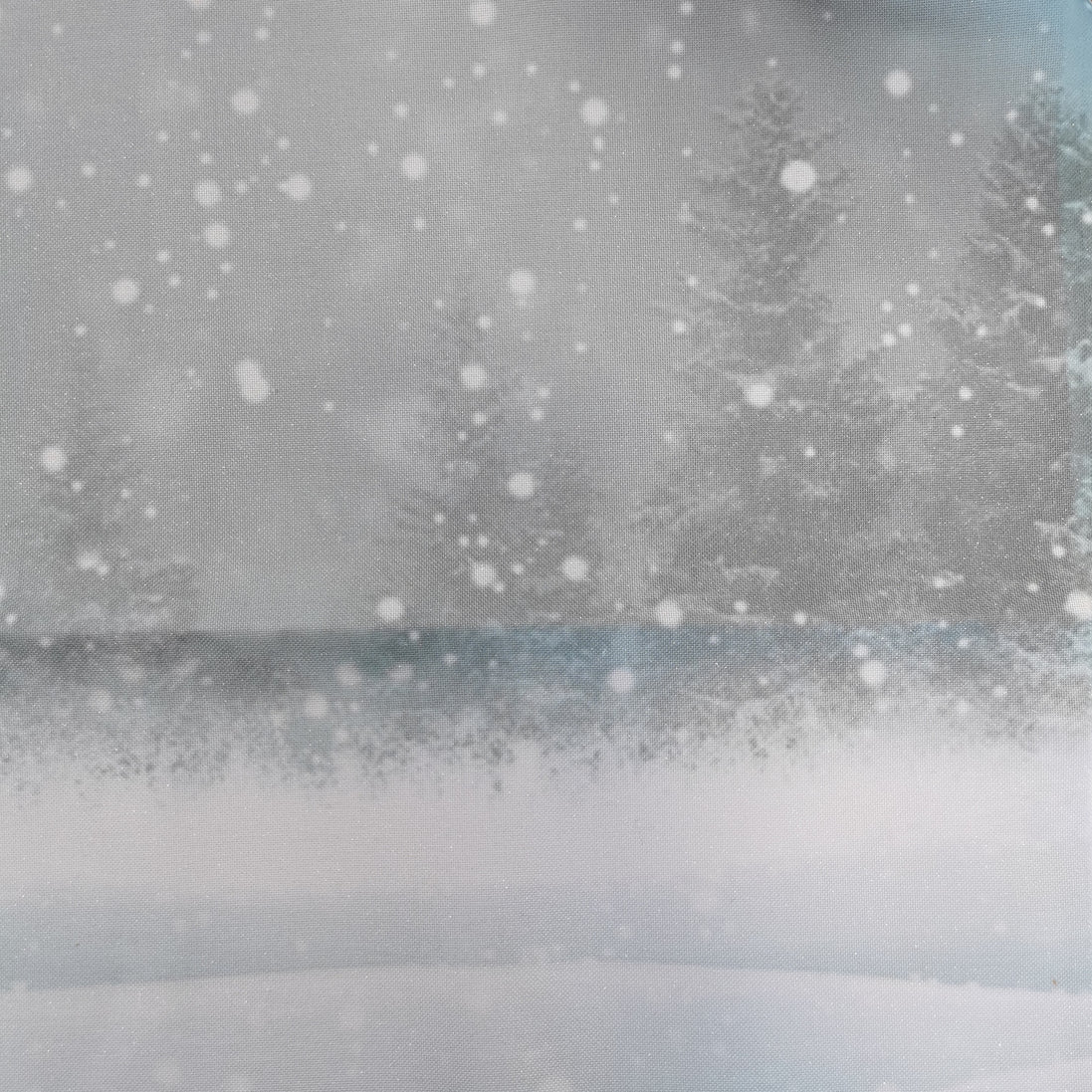 Aida / Evenweave - SPARKLE Frosty Forest (printed)