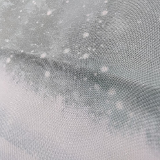 Aida / Evenweave - SPARKLE Frosty Forest (printed)