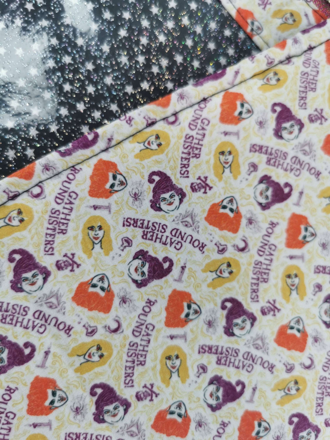 WIP Project Bag  - Gather Round Sisters GLITTER front.